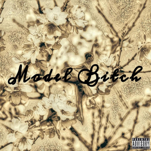 Model Bitch