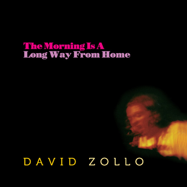 The Morning Is a Long Way from Home cover art