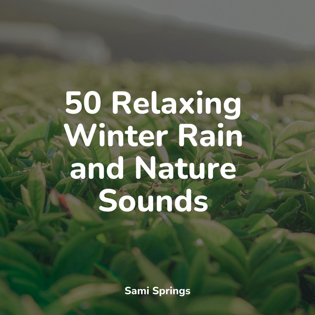50 Loopable Rain Sounds for Relaxation - Album by Lullabies for Deep ...