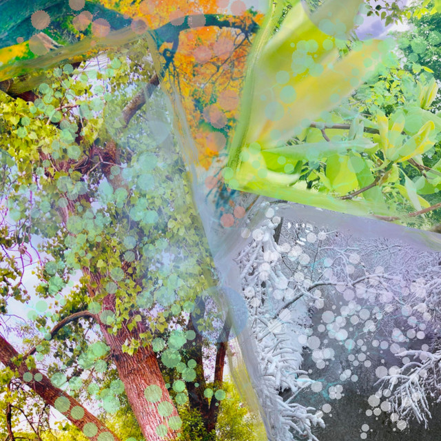 Seasons cover art