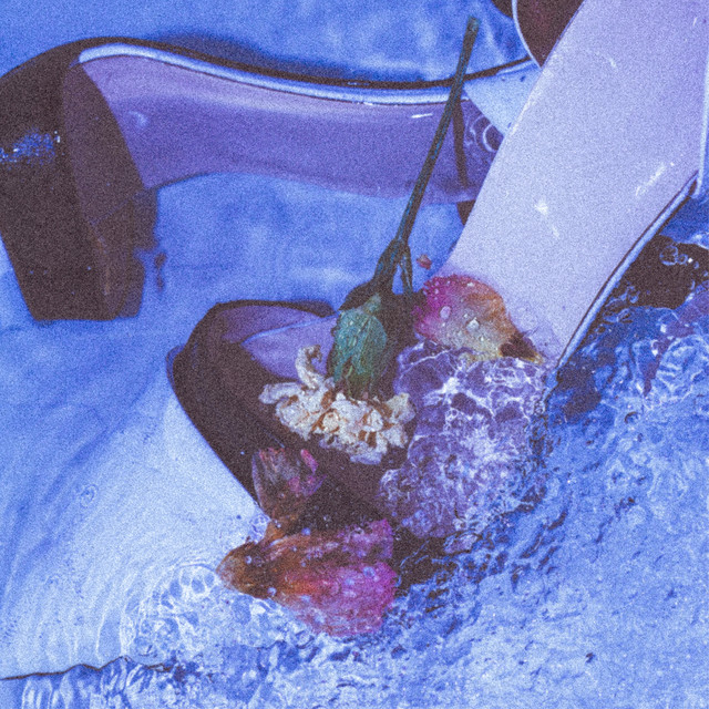 Prima cover art