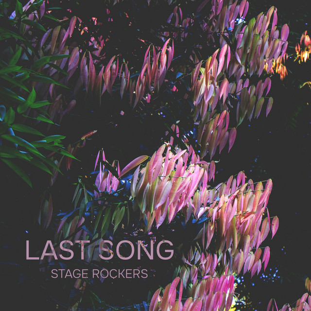 Обкладинка: Last Song - Radio Edit — Stage Rockers