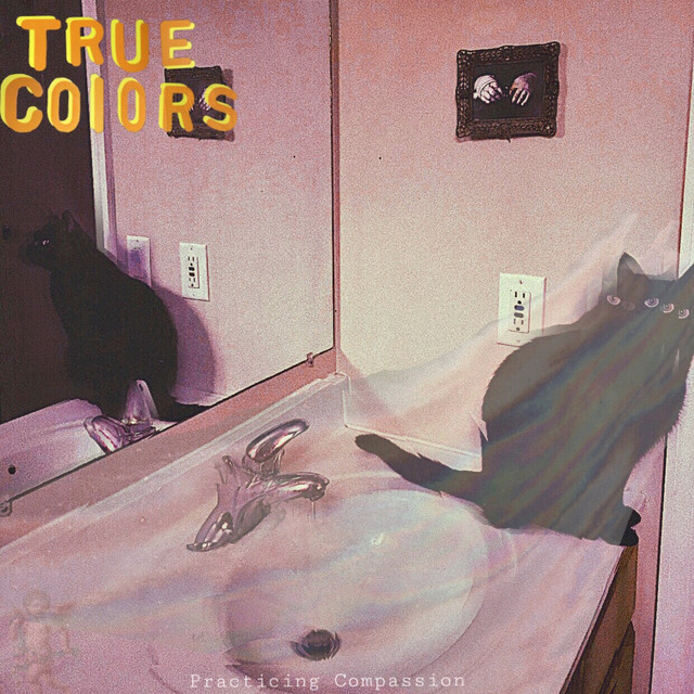 Practicing Compassion cover art