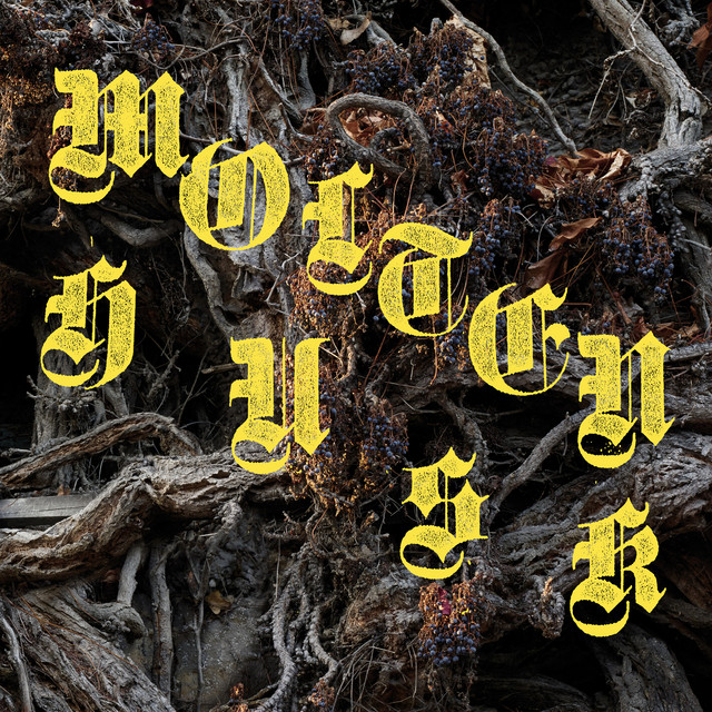 Molten Husk cover