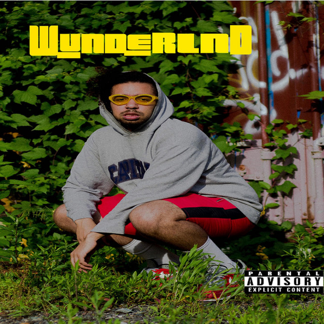 Wunderlnd cover art