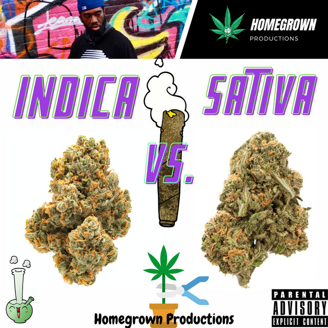 Indica Sativa