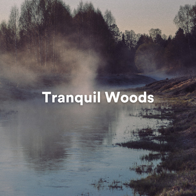 Tranquil Woods