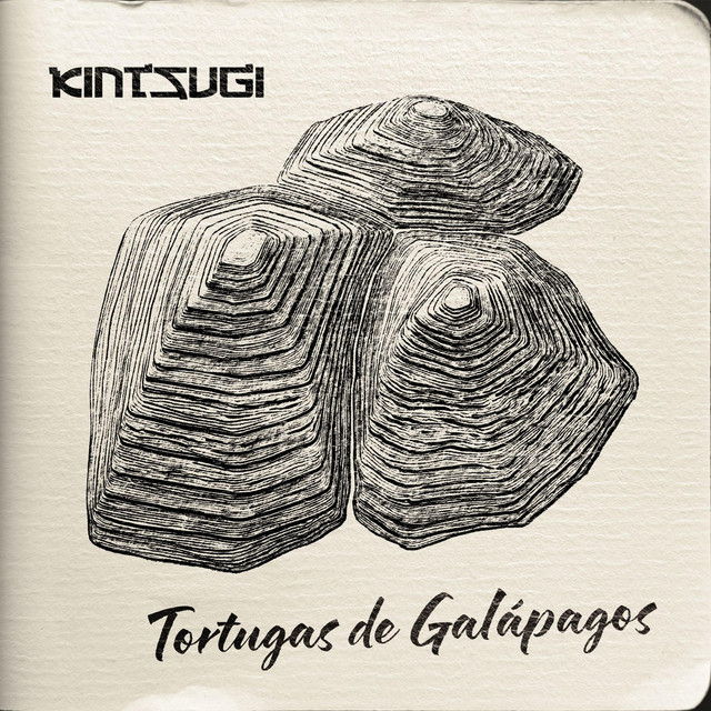 Tortugas de Galápagos cover art