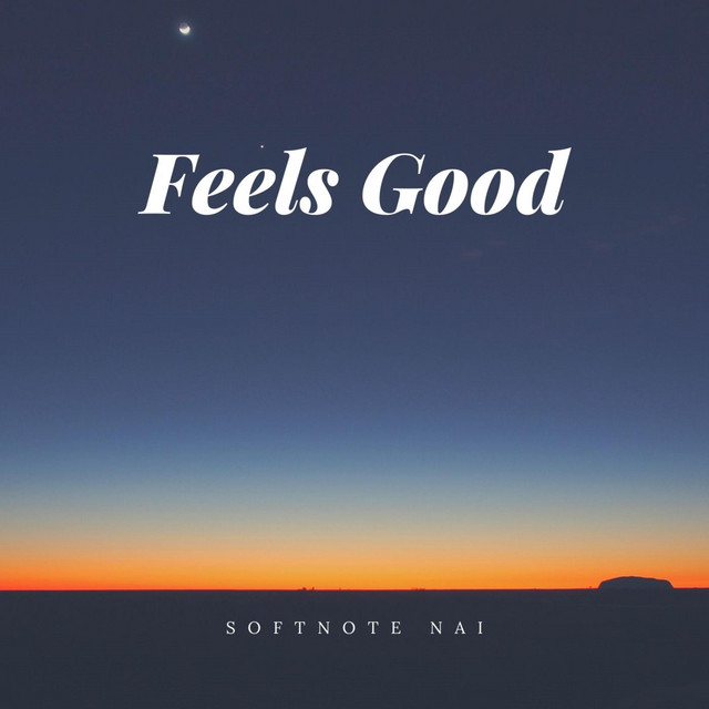 Feels Good - Single by Softnote Nai | Spotify