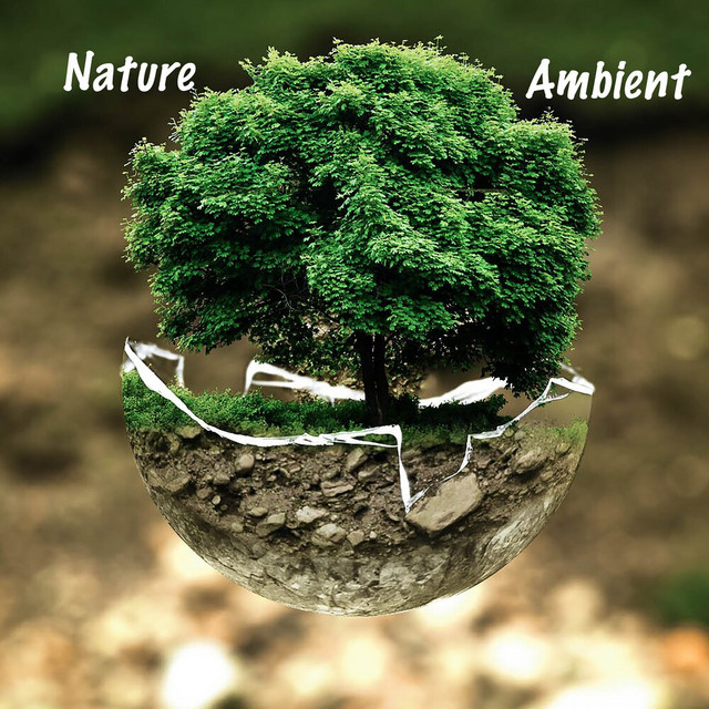 Nature Ambient cover art