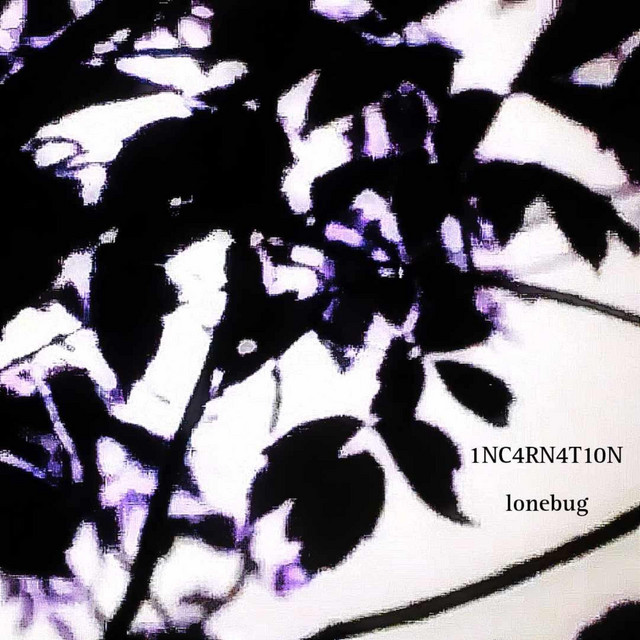 1NC4RN4T10N cover art