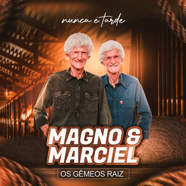 Nunca É Tarde (Os Gêmeos Raiz) cover art