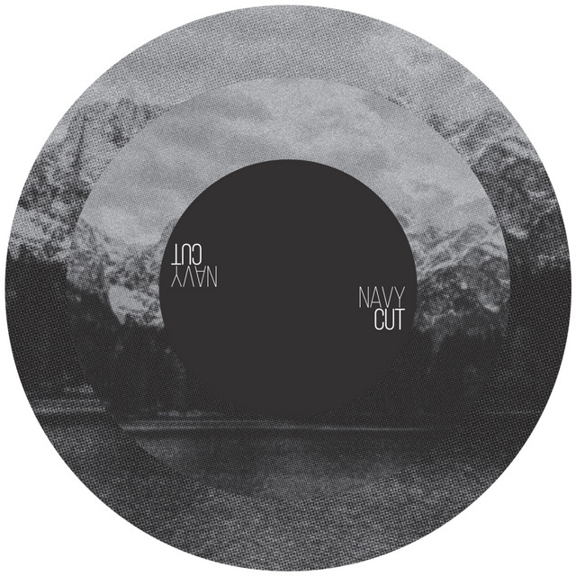 Monstera album art