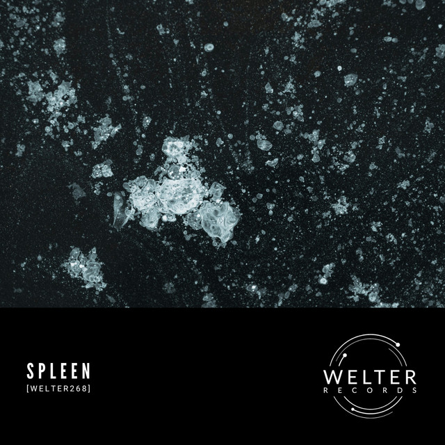 spleen
