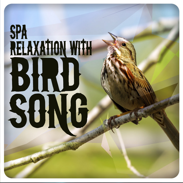 Spa Relaxation with Bird Song cover art