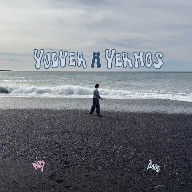 VOLVER A VERNOS