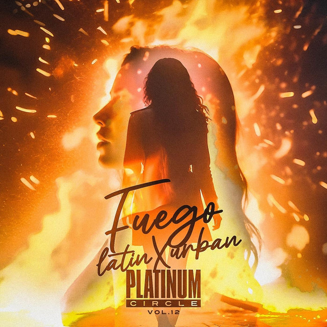 When The Sun Goes Down cover art