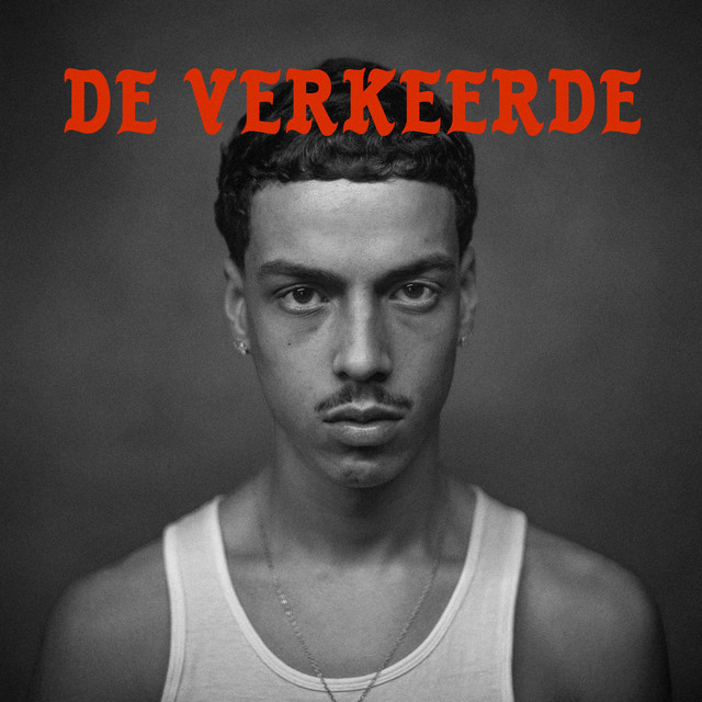 De Verkeerde cover art