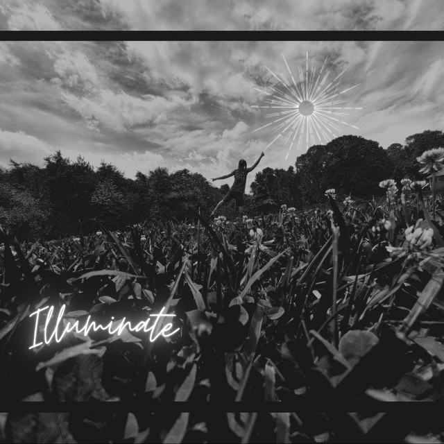 Illuminate cover art