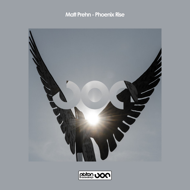 Phoenix Rise - BNinjas Remix album art