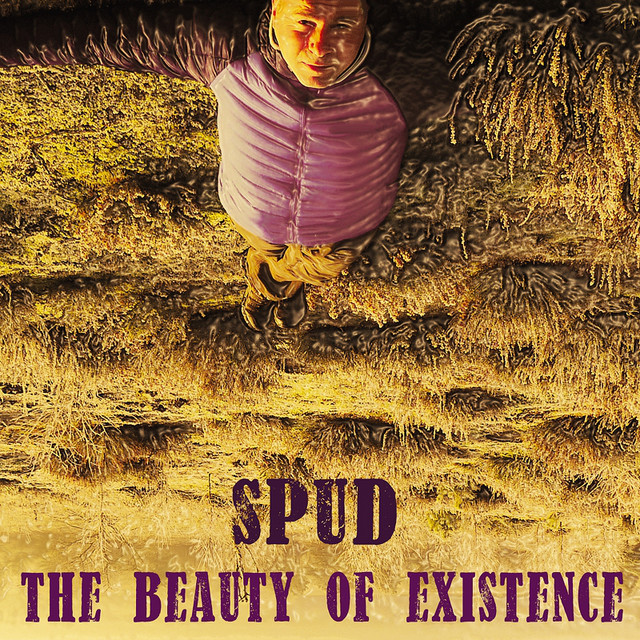 The Beauty of Existence cover art