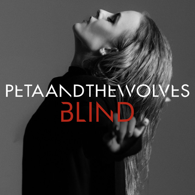 Blind cover