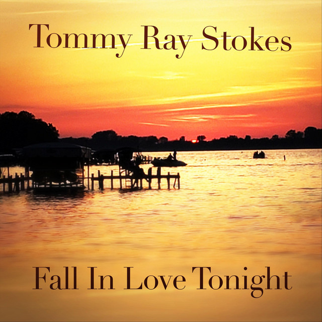 Fall in Love Tonight cover