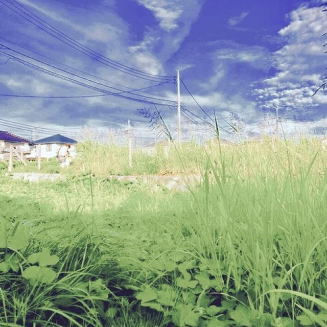 Tsubo Photo