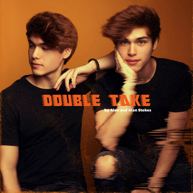 Double Take by Alex and Alan Stokes cover art