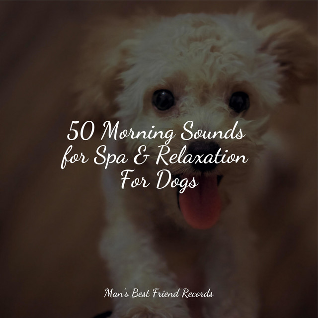 50 Morning Sounds for Spa & Relaxation For Dogs - Album by Jazz Music ...