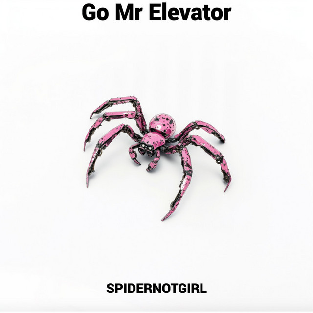 Go Mr Elevator cover art