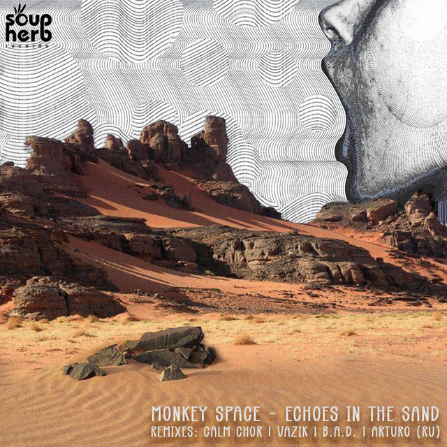 Echoes in the Sand cover art
