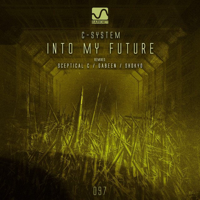 Into My Future - Shokyo Remix cover art