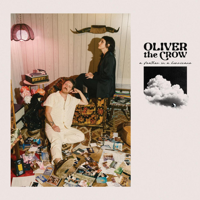 A Feather in a Hurricane cover art