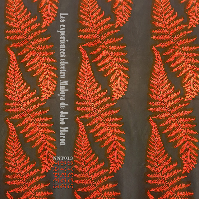 The Electro Maloya Experiments of Jako Maron cover art