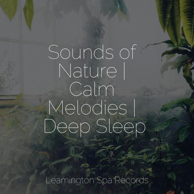 Sounds of Nature | Calm Melodies | Deep Sleep - Album by Schlaflieder ...