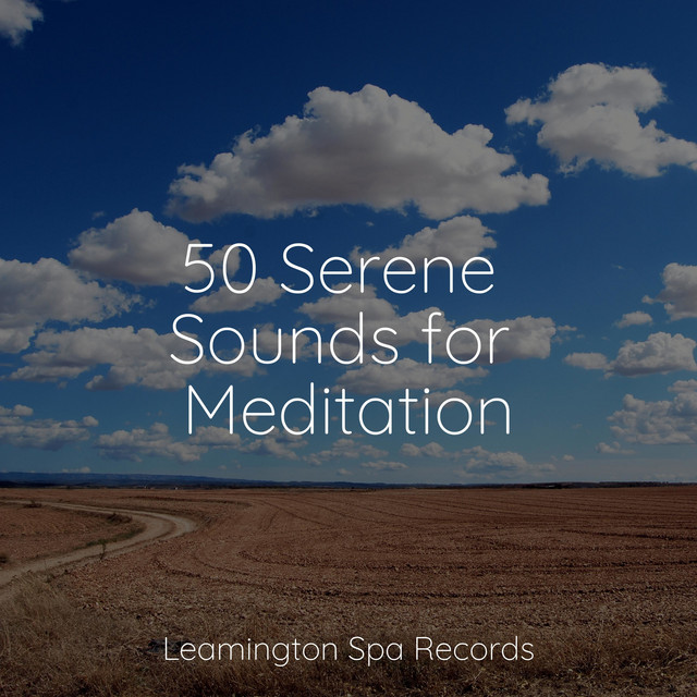 Deep Breathing - song and lyrics by Relaxation Personal Guru, Nature's ...