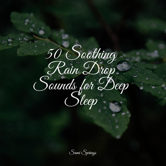 50 Soothing Rain Drop Sounds for Deep Sleep - Album by Natural Sounds ...