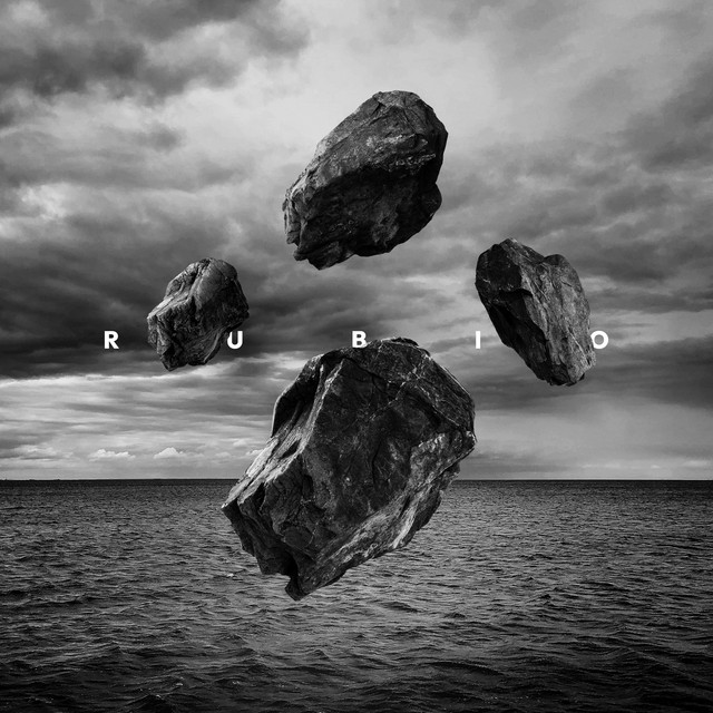 La Explosión de los Pájaros (En Vivo) cover art