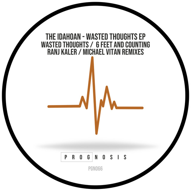 Wasted Thoughts - Ranj Kaler's Intimate Remix album art