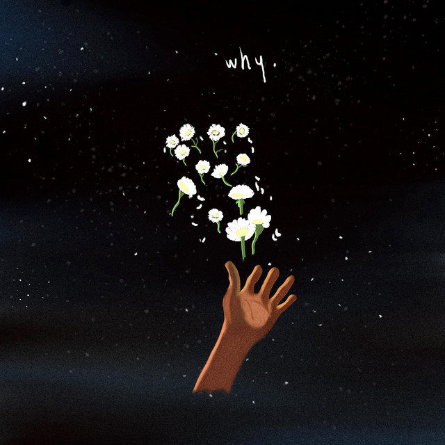 why. cover art