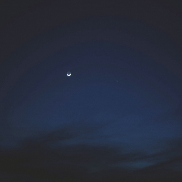 this will last album image