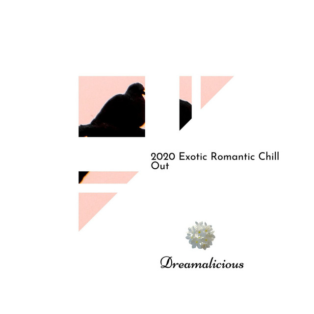 2020 Exotic Romantic Chill Out cover art
