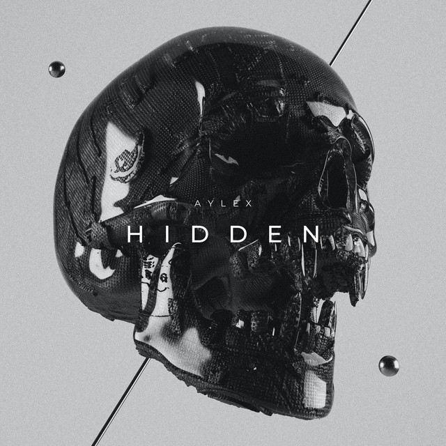 Hidden cover art
