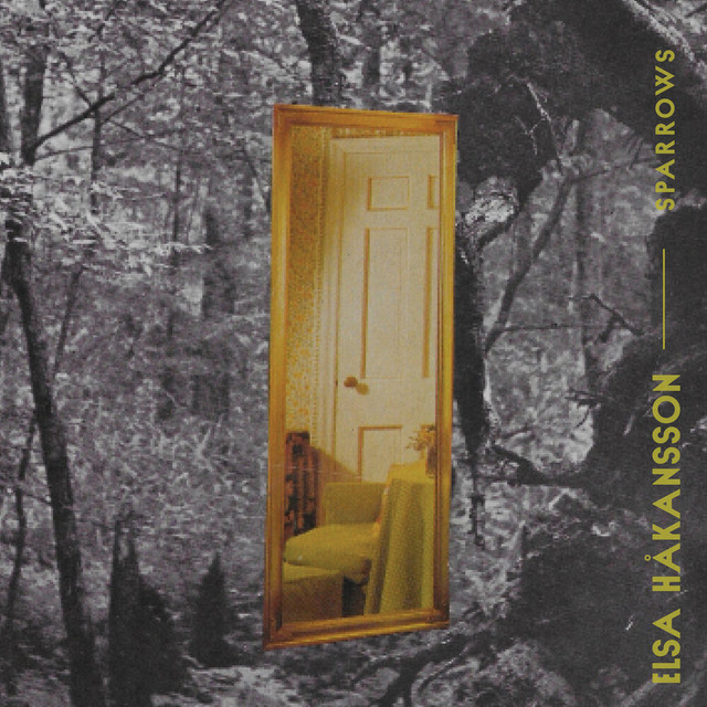 Sparrows cover art