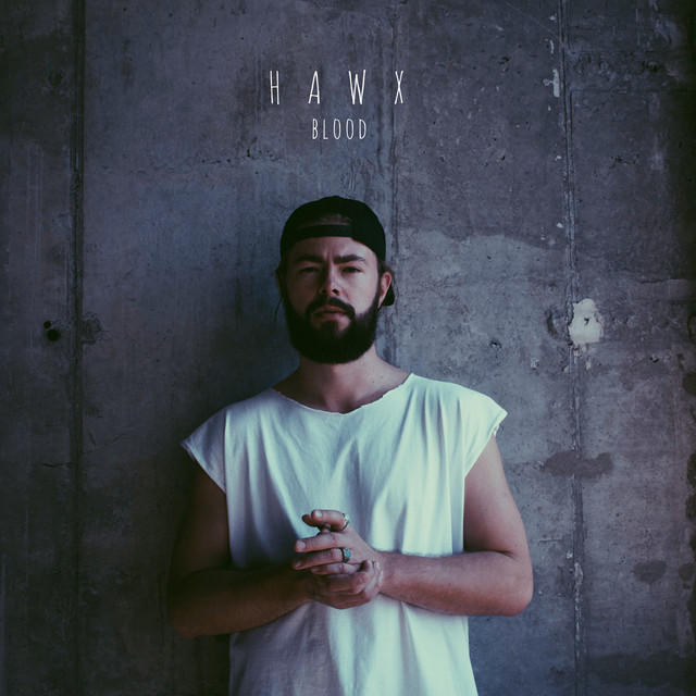 Обкладинка HAWX — Blood