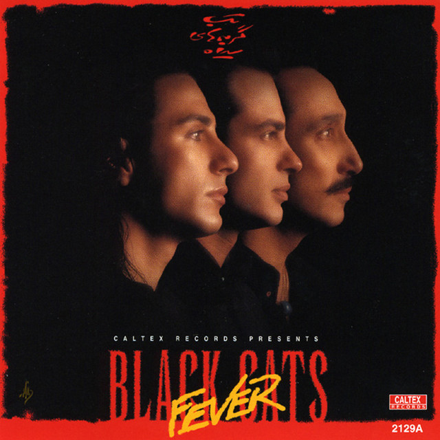 Black Cats Fever cover