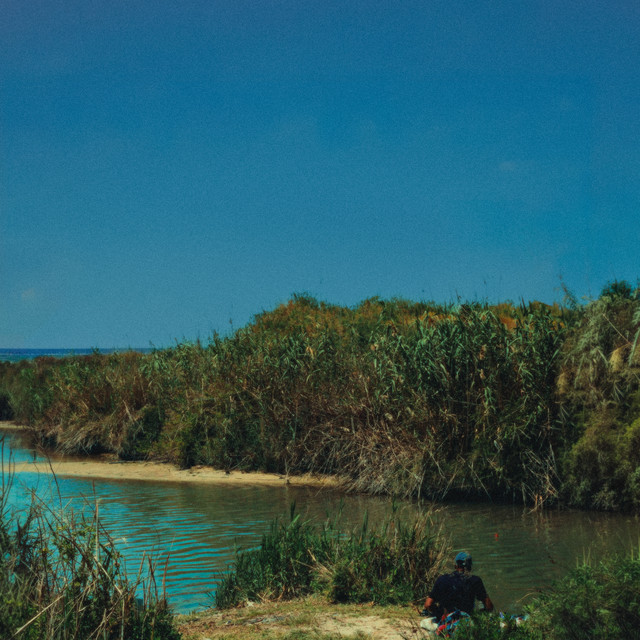 l'ultimo coccodrillo (feat. TÄRA) album image