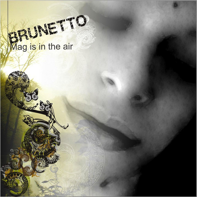 Mag Is in the Air cover art