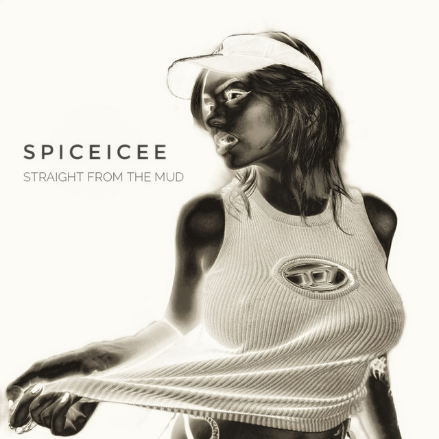 Обкладинка: Straight from the mud — Spiceicee